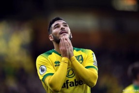 爱游戏部门-包含诺里奇客场惊险绝平热刺，保级形势不容乐观的词条